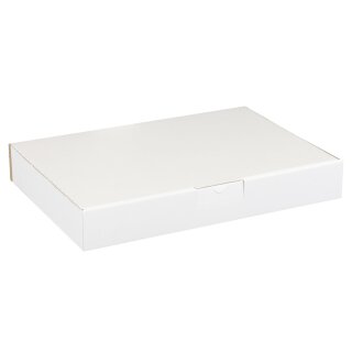Faltkartons 320 x 225 x 50 mm Maxibriefkartons Faltschachtel Post Karton in weiß 