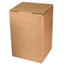 Karton Bag-in-Box 5 Liter