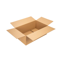Karton 550 x 325 x 195 mm (einwellig)
